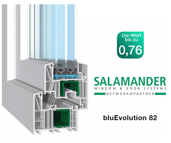 Salamander bluEvolution 82