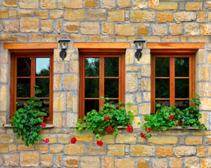 Holzarten für Fenster